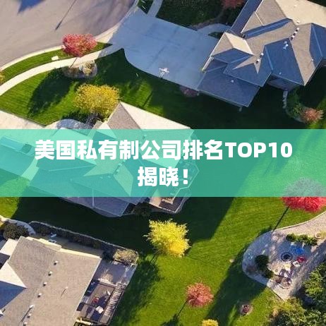 美国私有制公司排名TOP10揭晓!