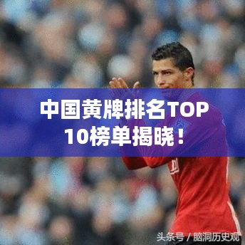 中国黄牌排名TOP10榜单揭晓!