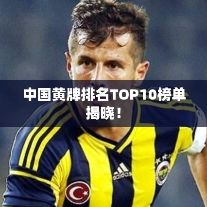 中国黄牌排名TOP10榜单揭晓!
