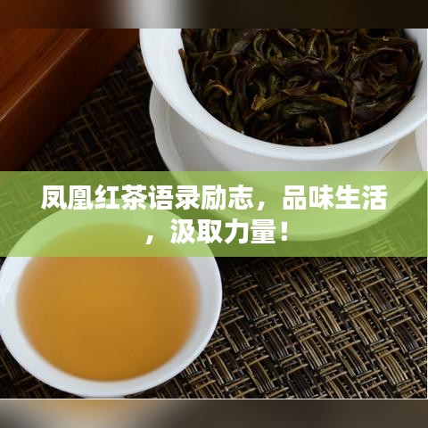 凤凰红茶语录励志，品味生活，汲取力量！