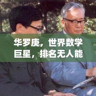 华罗庚，世界数学巨星，排名无人能及！
