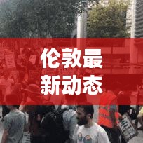 伦敦最新动态速递