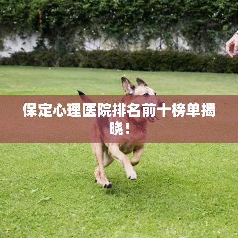 保定心理医院排名前十榜单揭晓！
