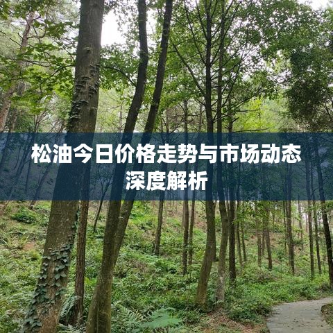 松油今日价格走势与市场动态深度解析
