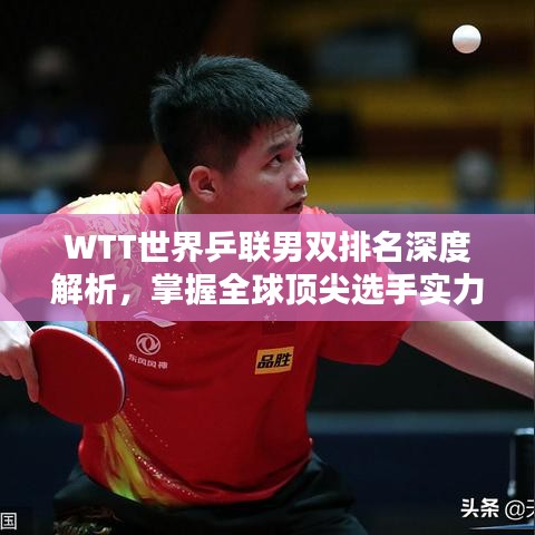 WTT世界乒联男双排名深度解析，掌握全球顶尖选手实力榜单！