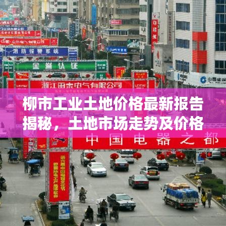 柳市工业土地价格最新报告揭秘，土地市场走势及价格查询指南