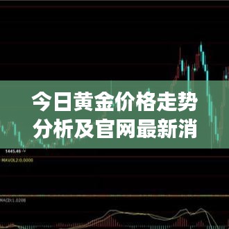 今日黄金价格走势分析及官网最新消息全面解读