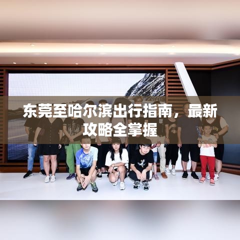 东莞至哈尔滨出行指南，最新攻略全掌握