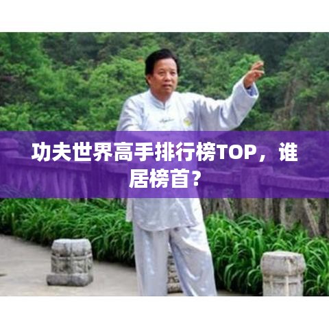 功夫世界高手排行榜TOP,谁居榜首?