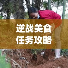 逆战美食任务攻略大全，轻松掌握最新攻略！
