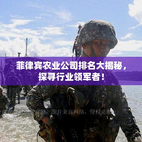 菲律宾农业公司排名大揭秘，探寻行业领军者！