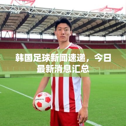 韩国足球新闻速递，今日最新消息汇总