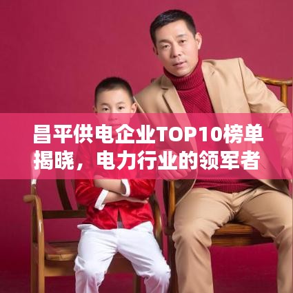昌平供电企业TOP10榜单揭晓，电力行业的领军者