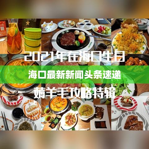 海口最新新闻头条速递