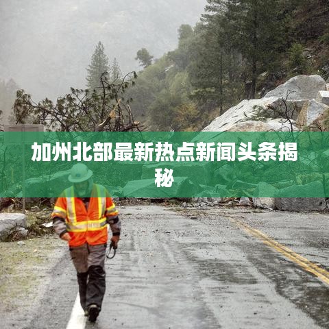 加州北部最新热点新闻头条揭秘