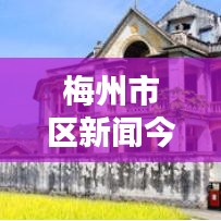 梅州市区新闻今日热点速递