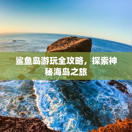 鲨鱼岛游玩全攻略，探索神秘海岛之旅