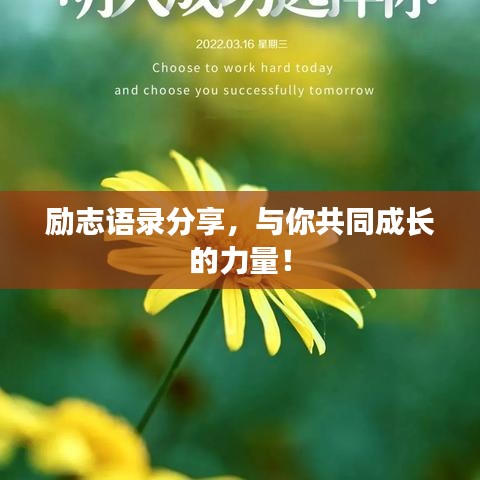 励志语录分享，与你共同成长的力量！