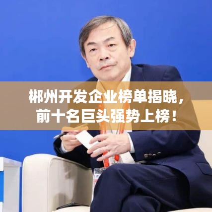 郴州开发企业榜单揭晓,前十名巨头强势上榜!