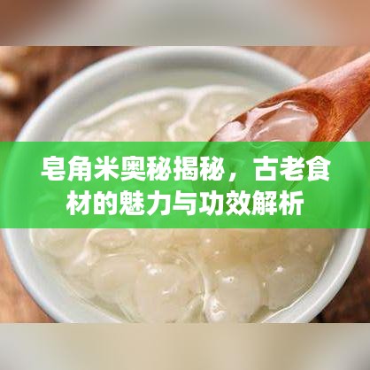 皂角米奥秘揭秘，古老食材的魅力与功效解析