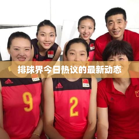 排球界今日热议的最新动态
