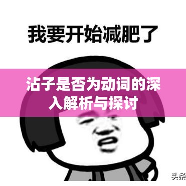 沾子是否为动词的深入解析与探讨
