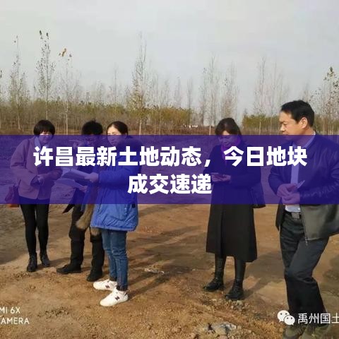 许昌最新土地动态，今日地块成交速递