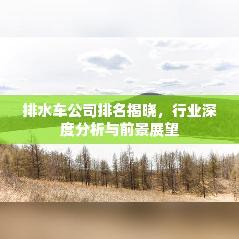 排水车公司排名揭晓,行业深度分析与前景展望