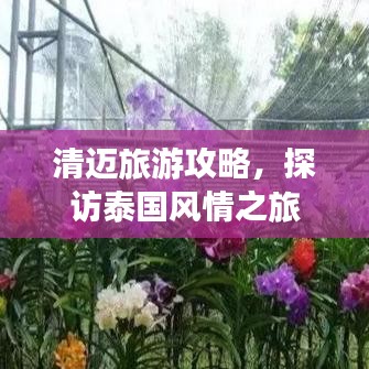 清迈旅游攻略,探访泰国风情之旅