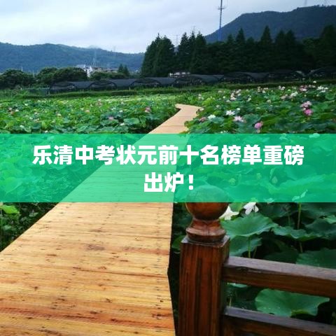 乐清中考状元前十名榜单重磅出炉！