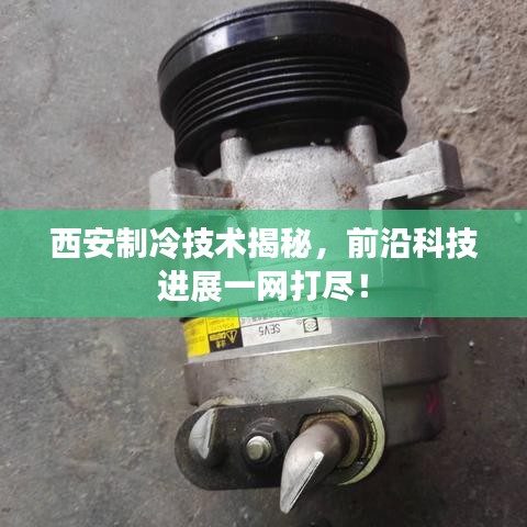 西安制冷技术揭秘，前沿科技进展一网打尽！