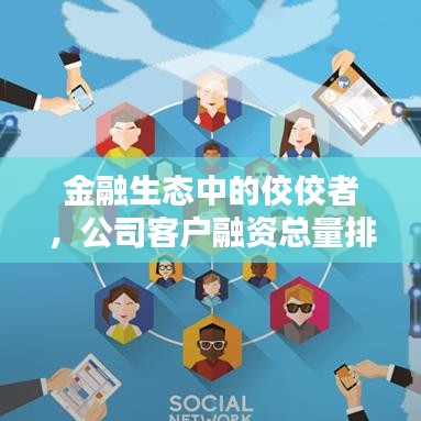 金融生态中的佼佼者，公司客户融资总量排名揭秘