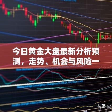 井蛙之见 第4页