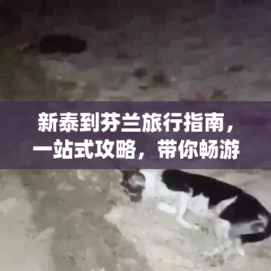 新泰到芬兰旅行指南，一站式攻略，带你畅游北欧风情！