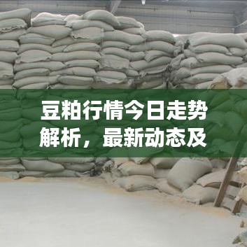 豆粕行情今日走势解析,最新动态及市场预测