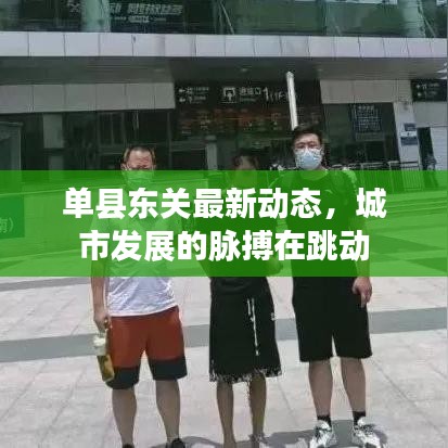 单县东关最新动态,城市发展的脉搏在跳动