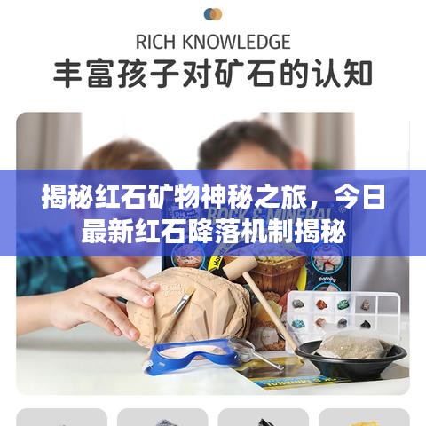 鸢飞戾天 第4页