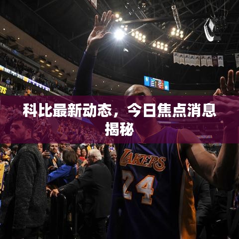 科比最新动态，今日焦点消息揭秘