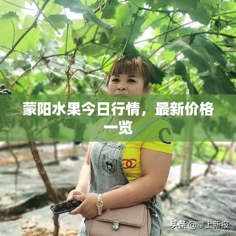 蒙阳水果今日行情，最新价格一览