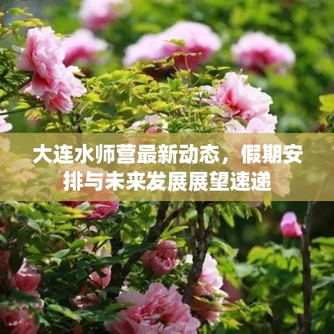 大连水师营最新动态，假期安排与未来发展展望速递