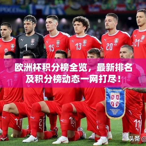 欧洲杯积分榜全览,最新排名及积分榜动态一网打尽!