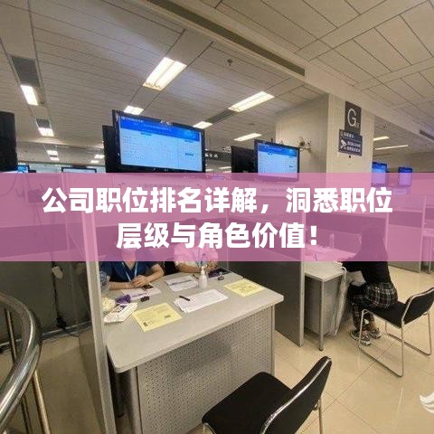 公司职位排名详解，洞悉职位层级与角色价值！