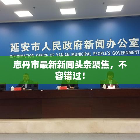 志丹市最新新闻头条聚焦，不容错过！