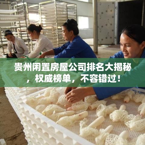 贵州闲置房屋公司排名大揭秘，权威榜单，不容错过！