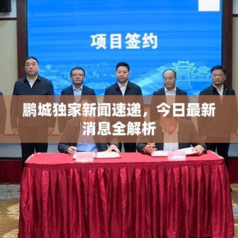 鹏城独家新闻速递，今日最新消息全解析