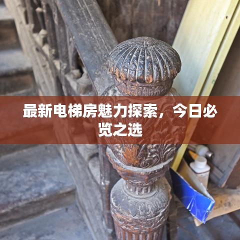 最新电梯房魅力探索,今日必览之选