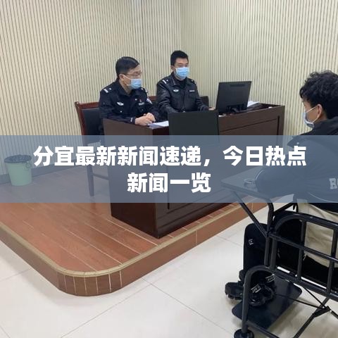 分宜最新新闻速递,今日热点新闻一览