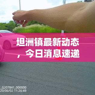 坦洲镇最新动态，今日消息速递