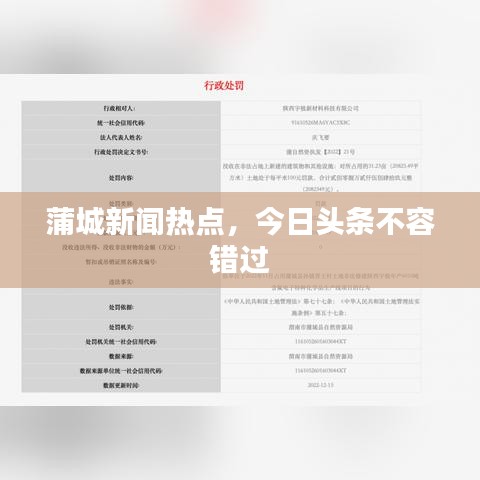 蒲城新闻热点,今日头条不容错过