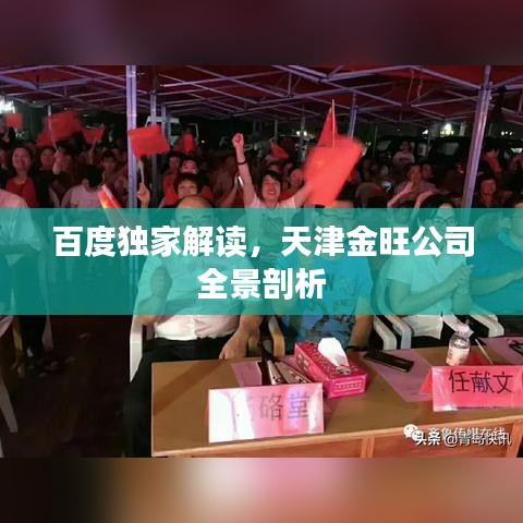 百度独家解读,天津金旺公司全景剖析